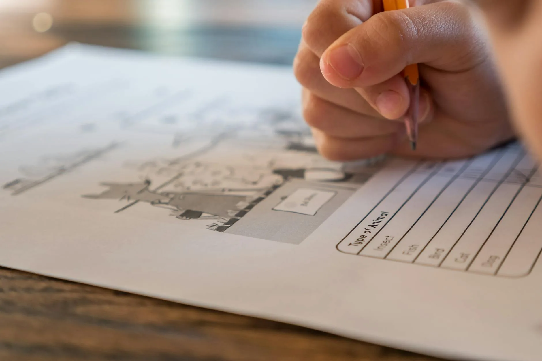 Tests de personnalité : quel est le meilleur test de personnalité?